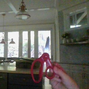 Beautiful Clean Scisors